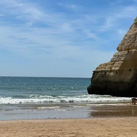 Da Rocha- Portimao T1 Praia da Rocha